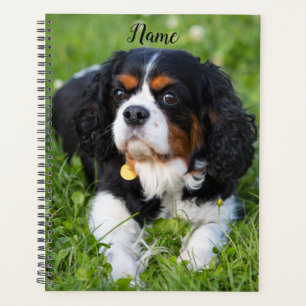 Tri Color Cavalier King Charles Spaniel Puppy Dog Planner