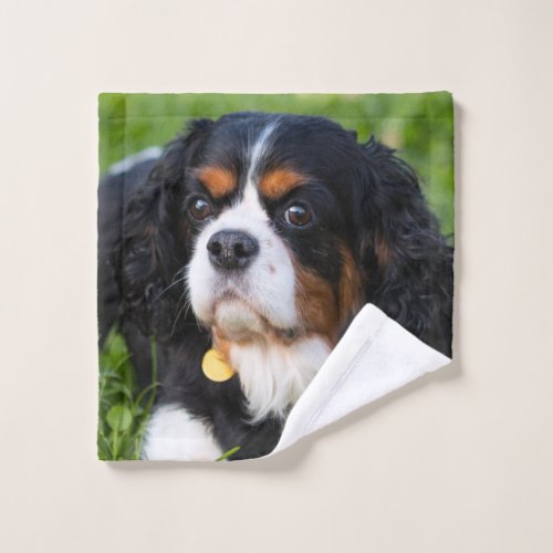 Tri Color Cavalier King Charles Spaniel Puppy Dog Wash Cloth