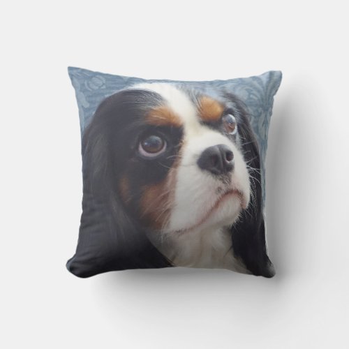 Tri_Color Cavalier Throw Pillow