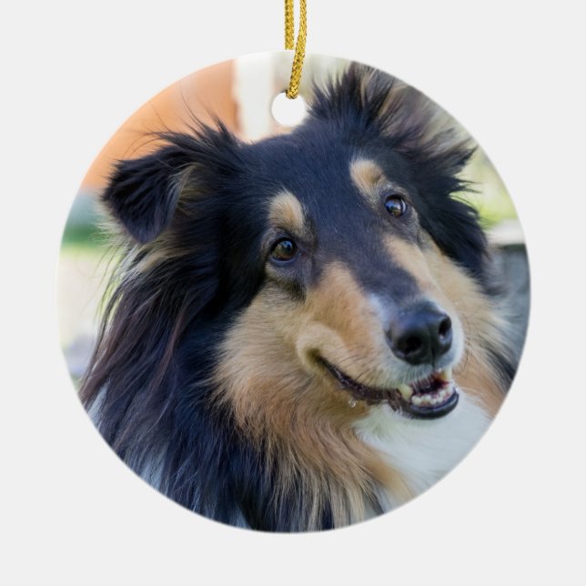Tri Color Collie Puppy Dog Ceramic Ornament (Front)