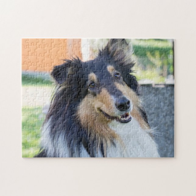 Tri Color Collie Puppy Dog Jigsaw Puzzle (Horizontal)