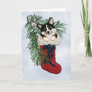 Tri-Color Corgi in Christmas Stocking Card
