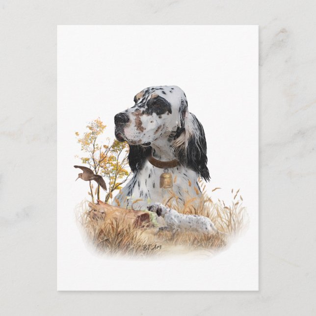 Tri Color English Setter Art, woodcock Hunting Postcard (Front)