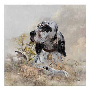 Tri Color English Setter Art, woodcock Hunting Poster