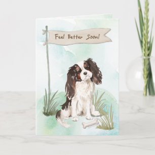 Tri Color King Charles Spaniel Feel Better to Dog Card