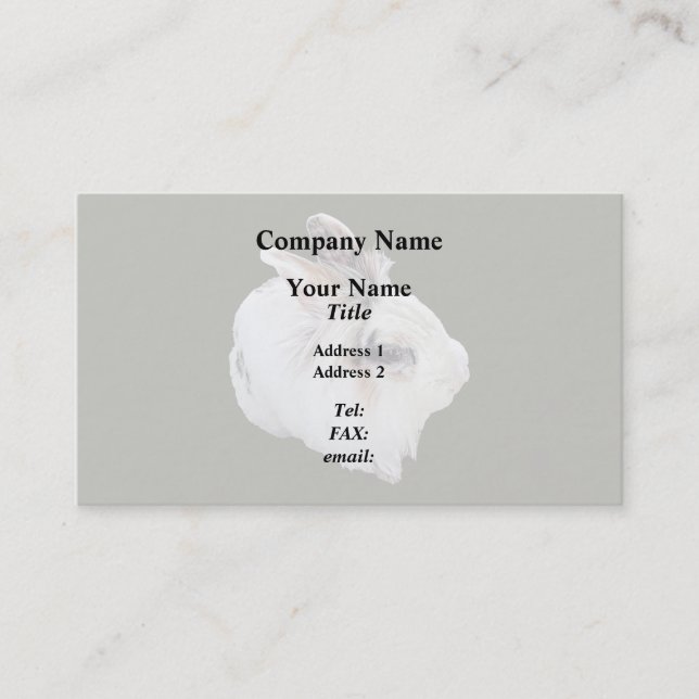 Tri-Color Lionhead Rabbit Business Card (Front)