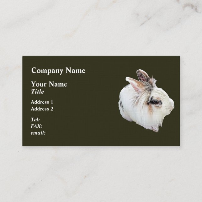Tri-Color Lionhead Rabbit Business Card (Front)