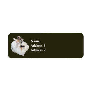 Tri-Color Lionhead Rabbit Label