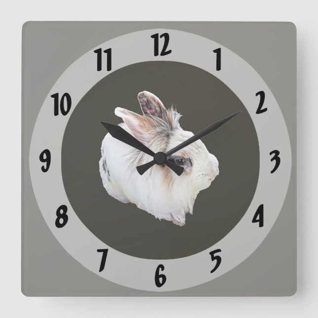 Tri-Color Lionhead Rabbit Square Wall Clock (Front)