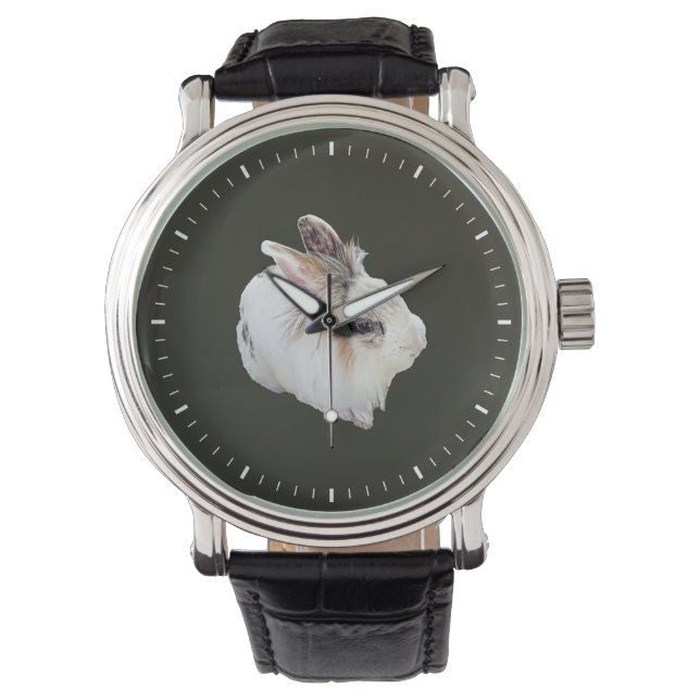 Tri-Color Lionhead Rabbit Watch (Front)
