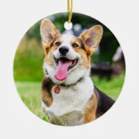 Tri Color Pembroke Welsh Corgi Puppy Dog Ceramic Ornament