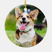 Tri color corgi cheap ornament
