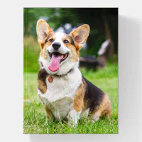 Pembroke Welsh Corgi, Tri Color Cutting Board