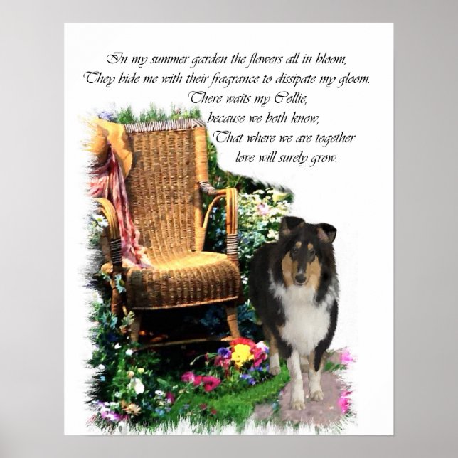 Tri Color Rough Collie Art Print (Front)