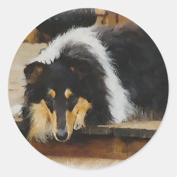 Tri Color  Rough Collie Gifts Art Classic Round Sticker by DogsByDezign at Zazzle