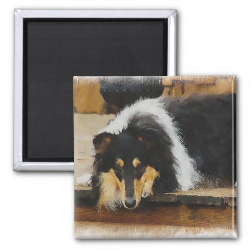 Tri Color  Rough Collie Gifts Art Magnet