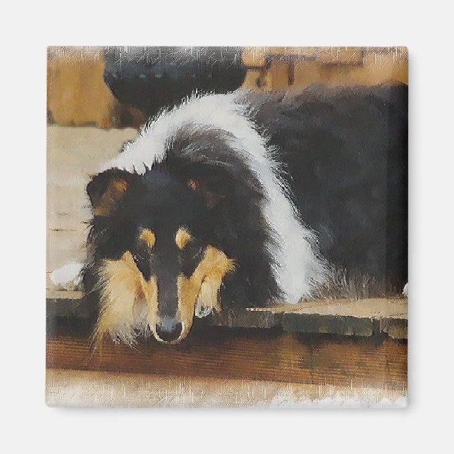 Tri Color  Rough Collie Gifts Art Magnet (Front)