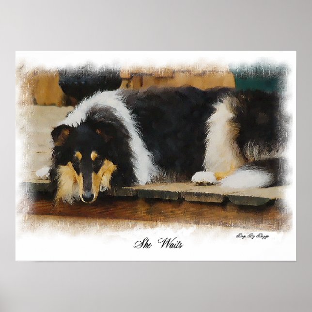 Tri Color Rough Collie Gifts Art Poster (Front)