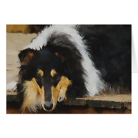 Tri-Color Rough Collie Gifts Cards (Front Horizontal)