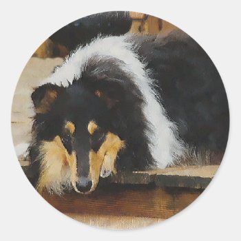 Tri-color Rough Collie Gifts Classic Round Sticker by DogsByDezign at Zazzle