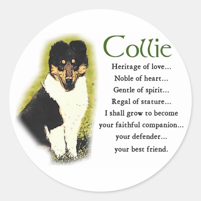 Tri Color Rough Collie Gifts Classic Round Sticker (Front)
