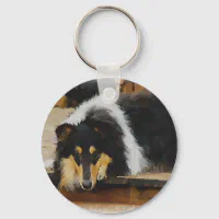 Rough collie gifts store