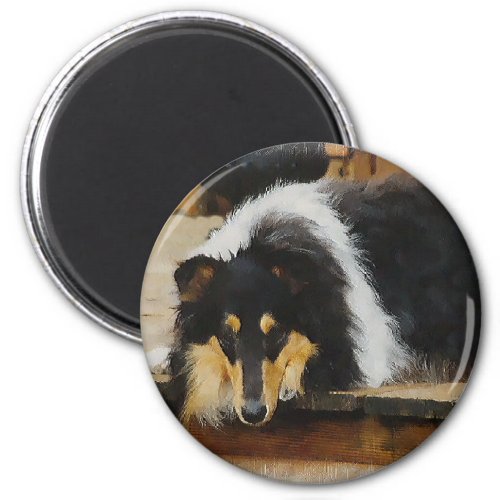 Tri_Color Rough Collie Gifts Magnet