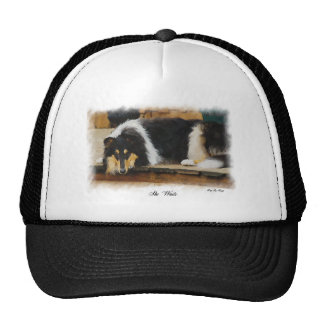 Tri Color Collie Gifts on Zazzle