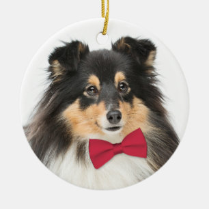 Tri-Color Sheltie Christmas Ornament
