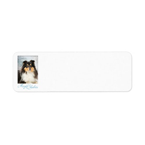 Tri_Color Sheltie Christmas Return Address Labels