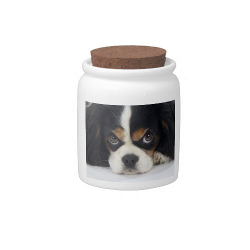 Tri_Colored Cavalier Spaniel Candy Jar