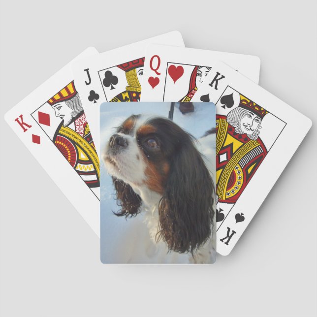 Tri-Colored Cavalier Spaniel Playing Cards (Back)