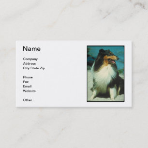 Tri-Colored Collie Business Card