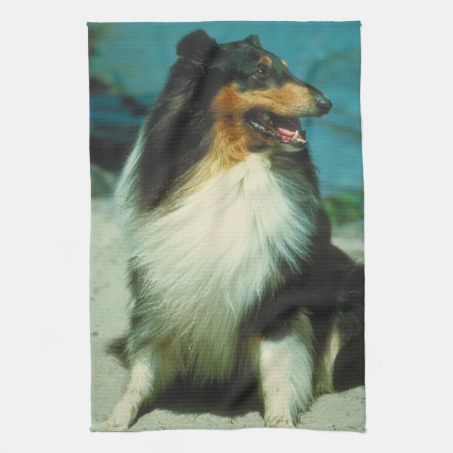 Tri-Colored Collie Dog Kitchen Towel (Vertical)