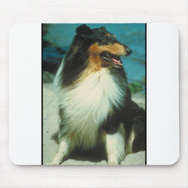 Tri-Colored Collie Rough Coat Mouse Pad (Front)