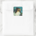 Tri-Colored Collie Rough Coat Square Sticker | Zazzle