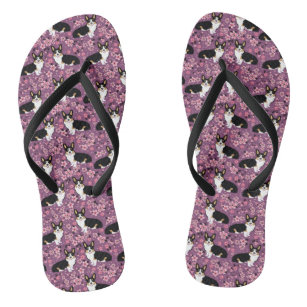 Tri Colored Corgi Cherry Blossoms - purple Flip Flops