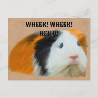 Tri-Colored Guinea Pig Postcard