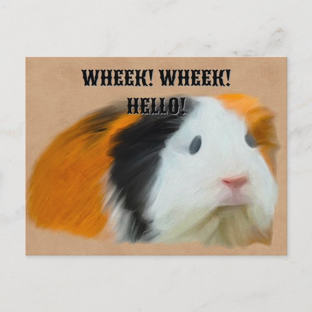 Tri-Colored Guinea Pig Postcard (Front)