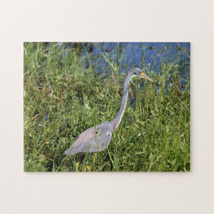 Tri Colored Heron Jigsaw Puzzle