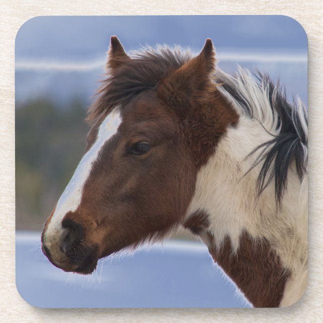 Tri-Colored Horse Beverage Coaster (Front)