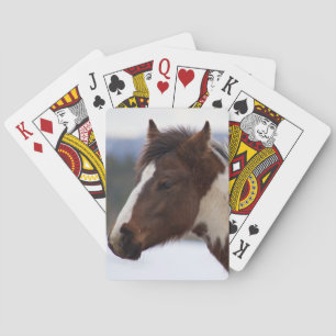 Tri-Colored Horse Poker Cards