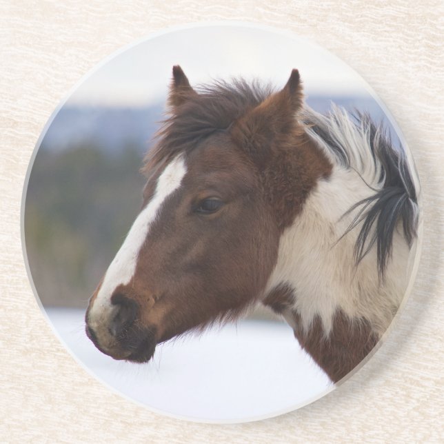 Tri-Colored Horse Sandstone Coaster (Front)
