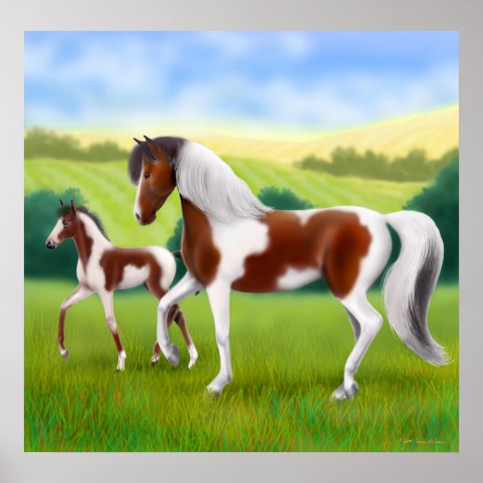 Tri Colored Paint Horse And Foal Poster Zazzle Com