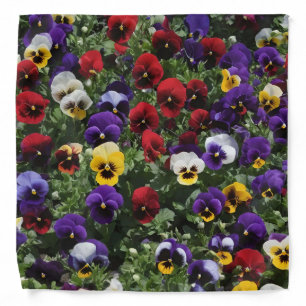 Tri Colored Pansies: A Symphony of Colors in Bloom Bandana