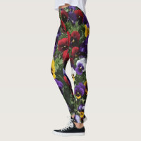 Tri Colored Pansies: A Symphony of Colors in Bloom