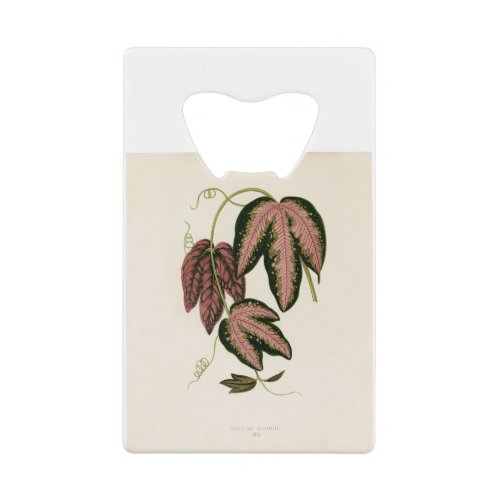 Tri_colored Passion Vine Passiflora Trifasciata Credit Card Bottle Opener