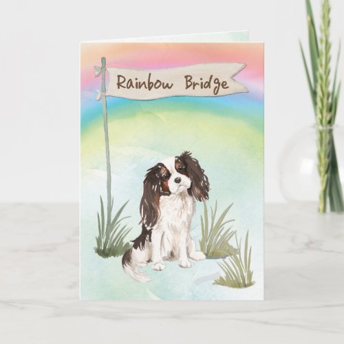 Tri Colour King Charles Spaniel Pet Sympathy Card