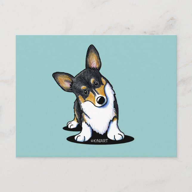 Tri Curious Corgi Postcard (Front)