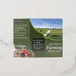 Tri-fold Brochure Design